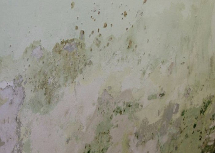 infiltrazioni acqua